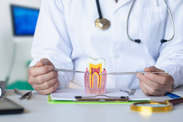 Best Emergency Tooth Extraction in Crestwood, IL